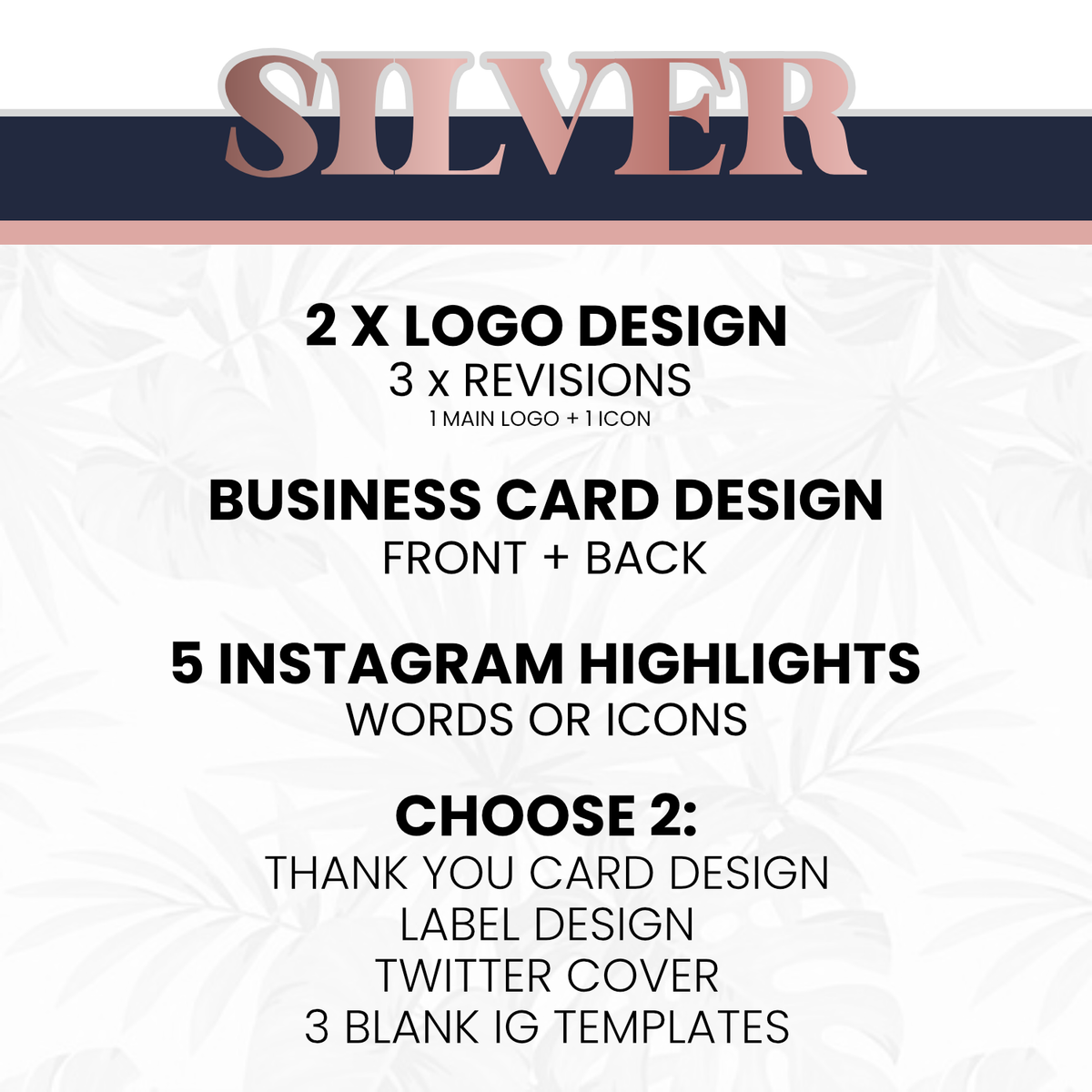 Silver Branding Package